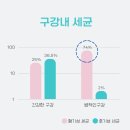 투더펫