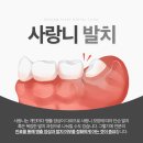 동암플란트치과의원 이미지