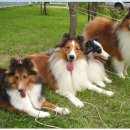 다우목장 이미지