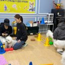 댕댕 하우스 이미지