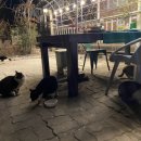 섬진강 플로렌스 이미지