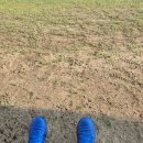 선동잔디구장 천연잔디구장 이미지