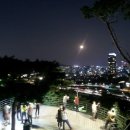 달맞이슈퍼 Daum카페