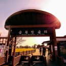 순천만 힐링 이미지