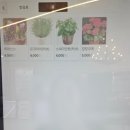 멜롱이하우스