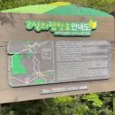 고망돌담 이미지