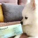 박순석농장 이미지