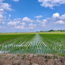 숨숨집당진 이미지