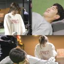 씨메이트 이미지