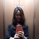 반 헤어 (Van hair)
