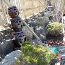 상록수펜션 이미지