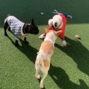 슈라즈하우스 이미지