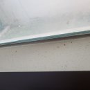 교대기숙사(남자) 이미지