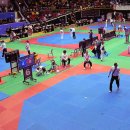 영광태권도체육관 이미지