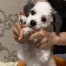 7월 ㅋ