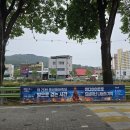 품바 | 국내 여행 6월 축제 충북 음성 품바축제 후기