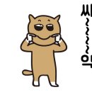 성실카공업사 이미지