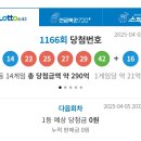 [타로] 1166회 로또 번호 예상 후기 + 앞으로 방향 유의미한 결과
