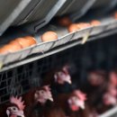 지현농장 이미지