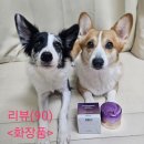 혁신7로L | (리프팅 크림 추천)프로바이오덤 3D리프팅 L-PDRN 크림 사용 후기