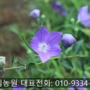 수림꽃농원 이미지