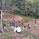 성화어린이집 이미지