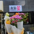 호밀꽃집 이미지
