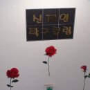 신재인탁구클럽 Daum카페