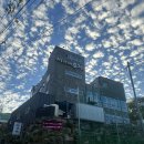 가야감고개공원작은도서관 | [부산진구, 가야] 서가네오리 | 가족 모임 13명 룸...후기 (+동백전 결제, 밥 먹고 감고개공원 산책)