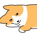 황정숙막국수 이미지