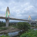 팔달대교 야경 이미지