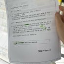 서울대병원 원추절제술 / CIN2 원추절제술 후기