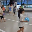 용인대 다온 태권도 이미지