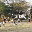 중앙공원 시민광장 이미지
