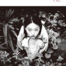 시노안 이미지