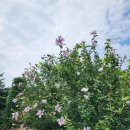 용추계곡입구 주차장 이미지