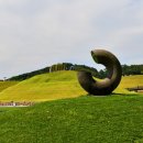 플로리다정원 이미지