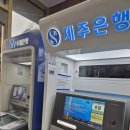 니도내도 | E29. 아젠토피오레_피로연 신부가 쓰는 아모르홀 후기!