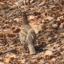 청소년 수련관 앞 이미지