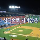 제주중앙여자고등학교 이미지