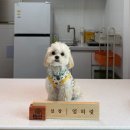 오토리브 노동조합 | 철원 캠핑장 숨은 명소, 히릿담터캠핑장의 진짜 매력