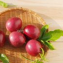 진혁농장 이미지