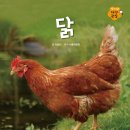 이조가구 이미지