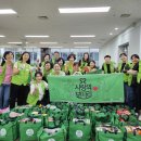 휴먼브릿지 이미지