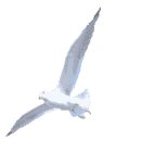 박달재 사연-문귀옥 이미지