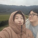 율포농장 이미지