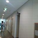 화춘농장 이미지