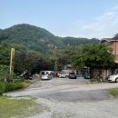 강변의 숲속 이미지