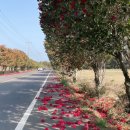 신흥2리마을회관 이미지