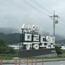 하일계곡 소나무집 | 영월 법흥계곡 [소나무와 계곡 캠핑장] 강추추~